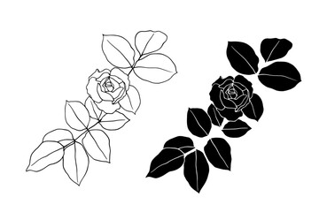 Line sketch, outline, rose flower silhouette. Vector graphics.