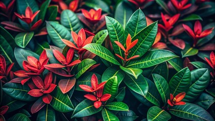 Lush Ixora Coccinea Leaves in Low Light, Close-Up Detail, Vibrant Green Foliage, Tropical Plant Texture