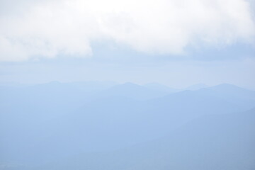 forested mountains in the fog
