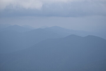 forested mountains in the fog
