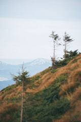 mountain landscapes, mountains in summer

