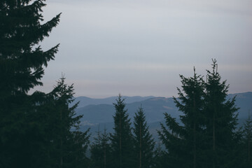 mountain landscapes, mountains in summer
