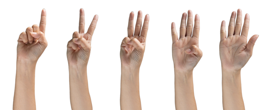 PNG set Hand raised one finger creates a gesture of direction, intent, and focus, human communication minimal pose single finger pointing upward is a signal of instruction, natural motion anatomy.