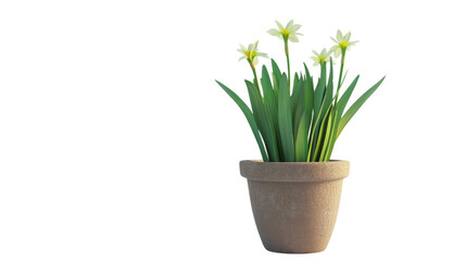 Fototapeta premium Flower in a pot transparent background