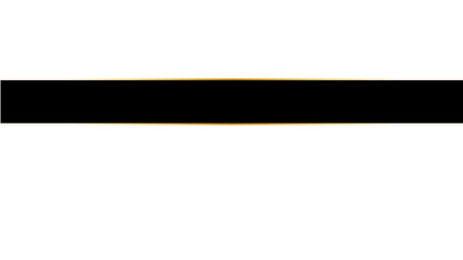 Elegant Black and Gold Decorative Graphic