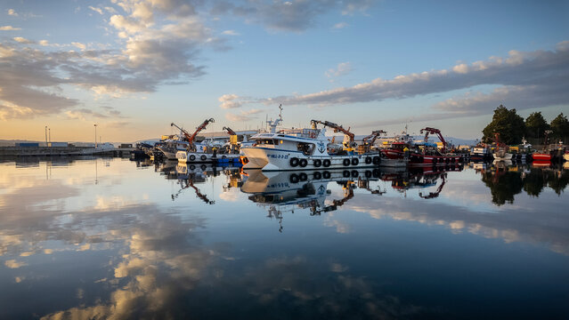 Barcos mejilloneros en el puerto de Vilanova de Arousa