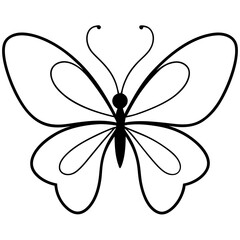 black and white butterfly