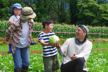 野菜畑で収穫作業をする家族