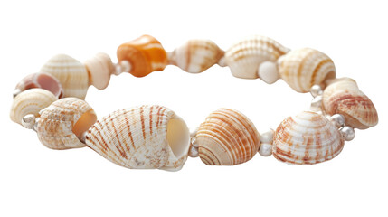 Shell bracelet transparent background