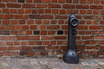 New fire hydrant has its number on it. Paving stones. brick wall