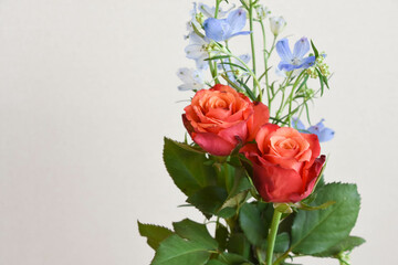 Fototapeta premium 薔薇とデルフィニウム