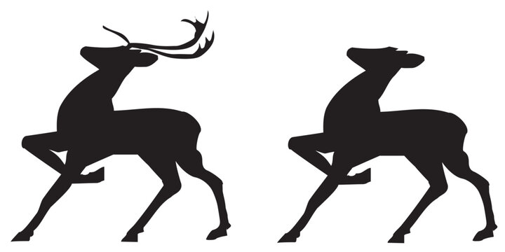 Cute big grace elegant strong power hoof rut rack head snout stand hunt fog farm winter field snow sky scenic view Old large zoo dry lawn meet sika baby child kid scene cartoon art logo emblem element