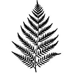 Elegant Fern Line Art Vectors