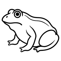 frog