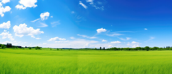 Vibrant Green Field Under Clear Blue Sky