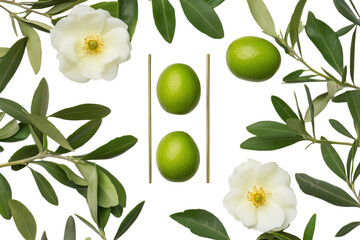 Elegant arrangement of olives, olive branches, and white roses on a white background. Perfect for beauty, health, or food-related projects.