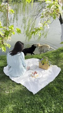 spring picnic