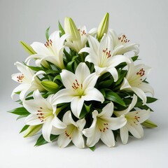 Fototapeta premium lily of the valley