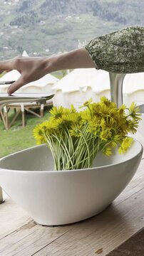 fresh flowers