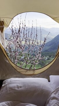 spring in the mountains