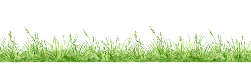 Fototapeta premium Green grass and lush bushes on a seamless pattern. Watercolor digital illustration. . Spring greenery and natural landscape, isolated on a white background. Horizontal border of summer grass thickets