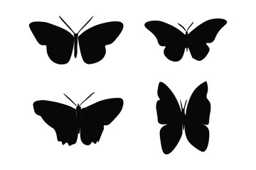 Black Butterfly Silhouette 
