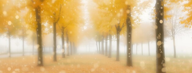 Misty Autumn Path Surrounded by Golden Trees