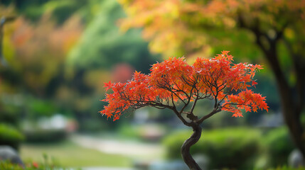 Blurred Nature Garden Background with Greenery and Defocused Trees
