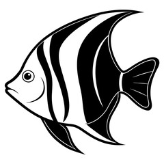 fish illustration