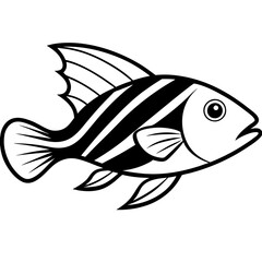 fish illustration