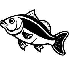 fish illustration
