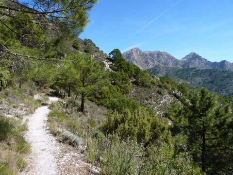 Hiking in the hills above Nerja in the Axarquia region of Andalucia, Spain. The path from Competa to the Puerto Blanquillo
