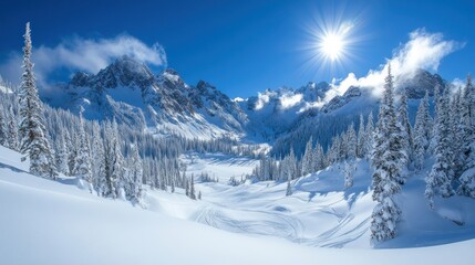 Stunning Sunny Winter Mountain Landscape with Snow-Covered Trees