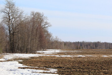 the beginning of spring in the forests and fields of north-eastern Europe