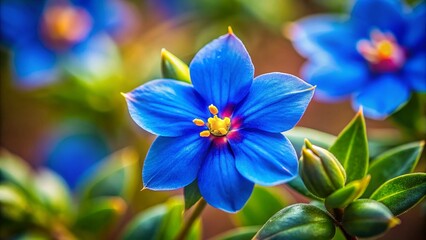 Gran Canaria Flora: Delicate Blue Pimpernel with Bokeh, Close-up Macro Shot