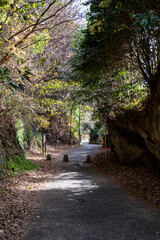 鎌倉2401　亀ヶ谷切通し1