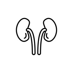 Human kidneys icon vector outline logo sign