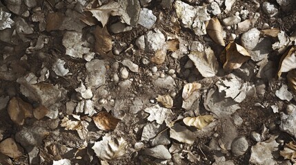 Autumn Ground Texture- Dry Leaves and Stones