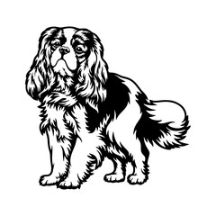 Spaniel Dog Breed - Pet Vector Cut file, Dog Silhouette Stencil - Cricut file