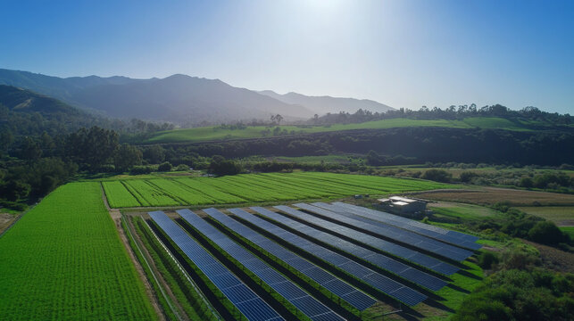 Solar power implementation at agricultural fields california aerial view sustainable energy farming landscape
