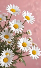 Fototapeta premium Delicate white daisies decorating a soft pink surface, event, decorate, petals, holiday