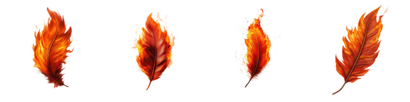 Burning phoenix feathers glowing with ember details, showcasing vibrant fire