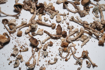 Dried Psilocybe Cubensis hallucinogen magic mushroom on the white background. Top view, close-up, isolate