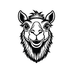 Fototapeta premium Camel Outline illustration vector, Desert Camel clipart Design 