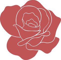 Hand drawn Illustration of Rose flower