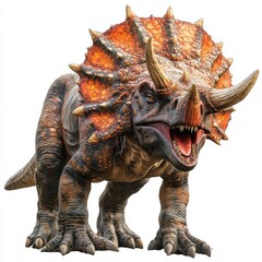 Fototapeta premium Roaring Triceratops dinosaur, prehistoric creature, isolated white background, illustration for educational purposes