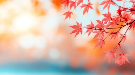 Vibrant Red Leaves on Branch Surrounded by Softly Blurred Background Creating a Tranquil Autumn Atmosphere in Nature