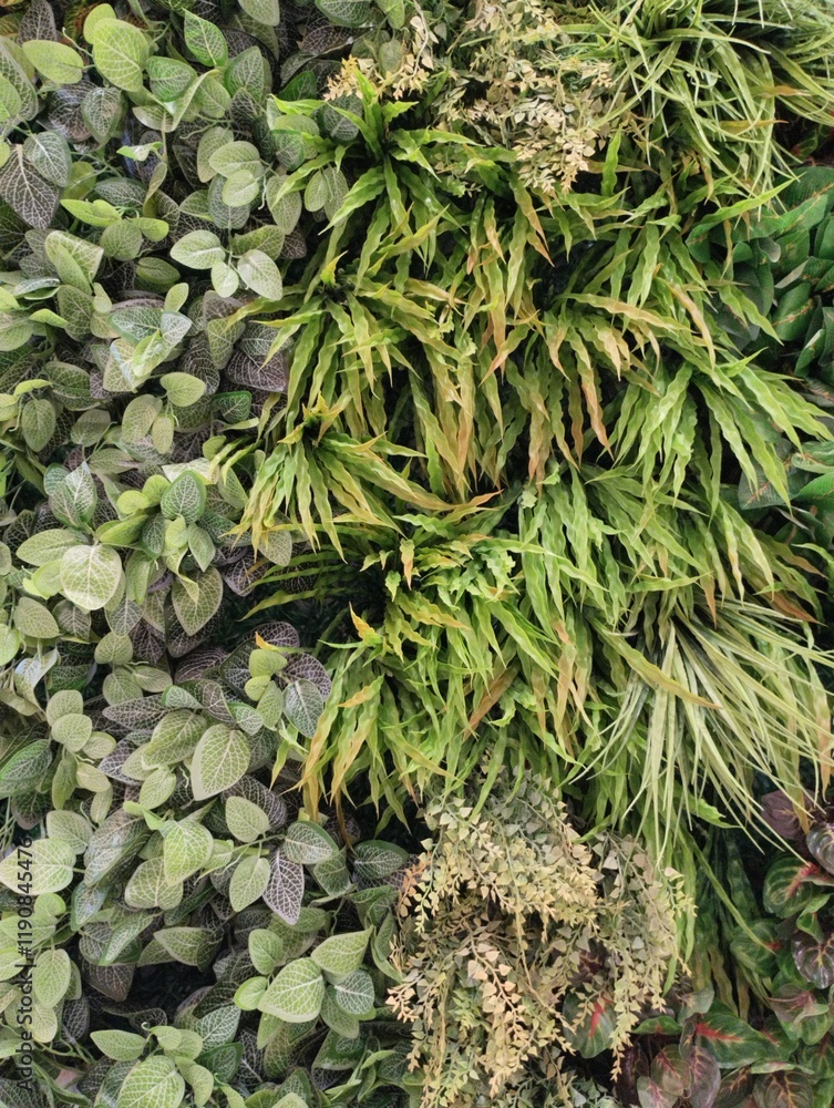 Wall mural wall of artificial plants, panel of plants, indoor landscaping,plant green background, close up of plant