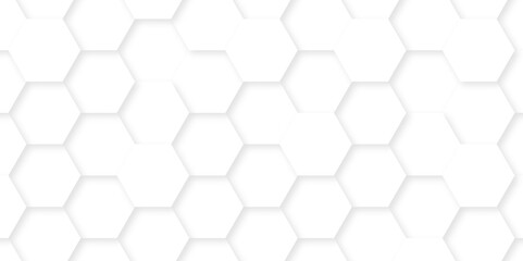 Fototapeta premium Abstract geometric vector design pattern with hexagonal shapes and modern digital texture for futuristic technology Illustrations. white hexagon design concept with geometric background.