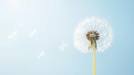 Obraz premium A close-up of a dandelion seed head against a clear blue sky, capturing nature's beauty.